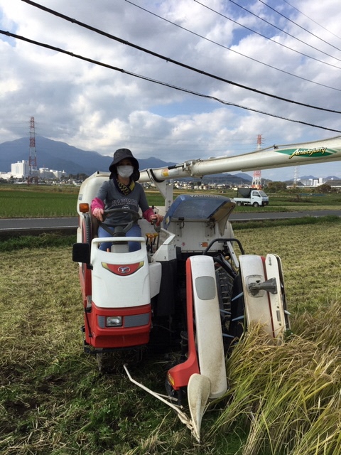 加藤 京子の写真