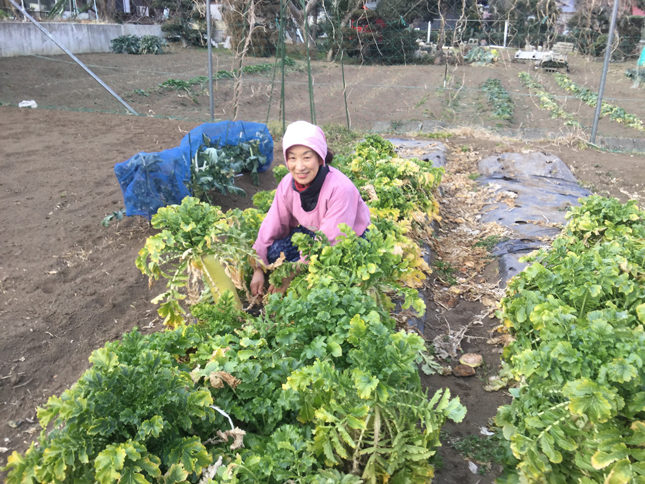 新藤 悦子の写真