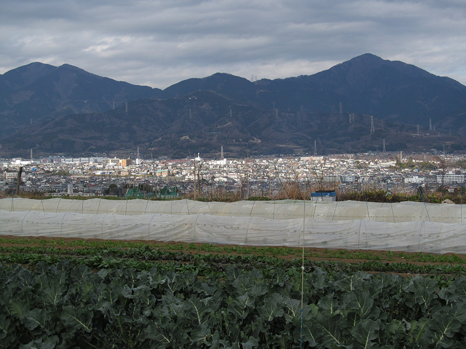 原 千早の写真