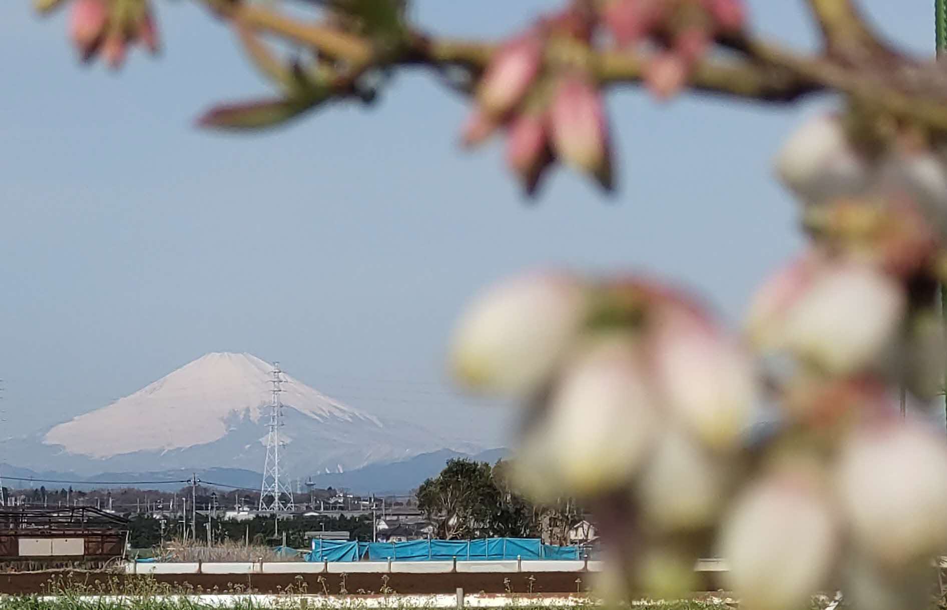 渋谷 典子の写真