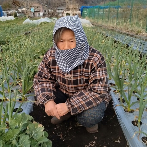 田倉 節子の写真