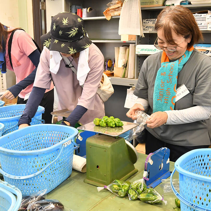 令和７年９月 かながわ農業アカデミー新規就農者育成研修  ＜女性農業体験コース＞ 募集案内