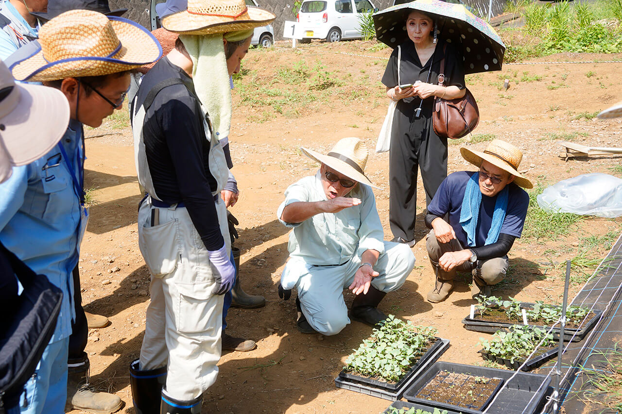 小さな苗に映る、それぞれの1ヶ月