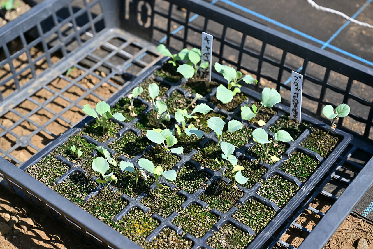 この1ヶ月の試行錯誤を報告