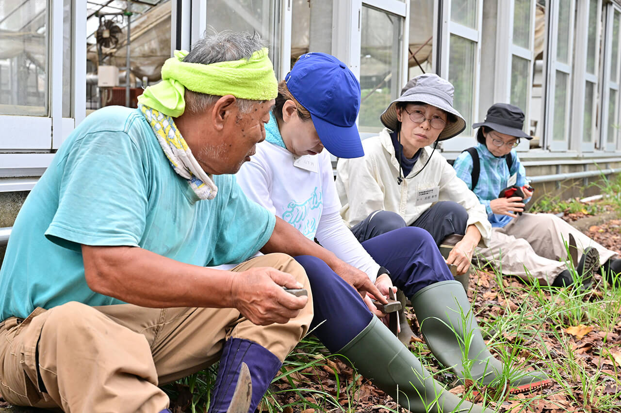 この1ヶ月の試行錯誤を報告