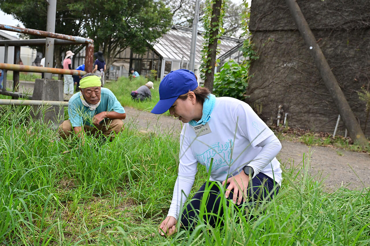 大地の恵みをその手で、汗を忘れる収穫の歓声