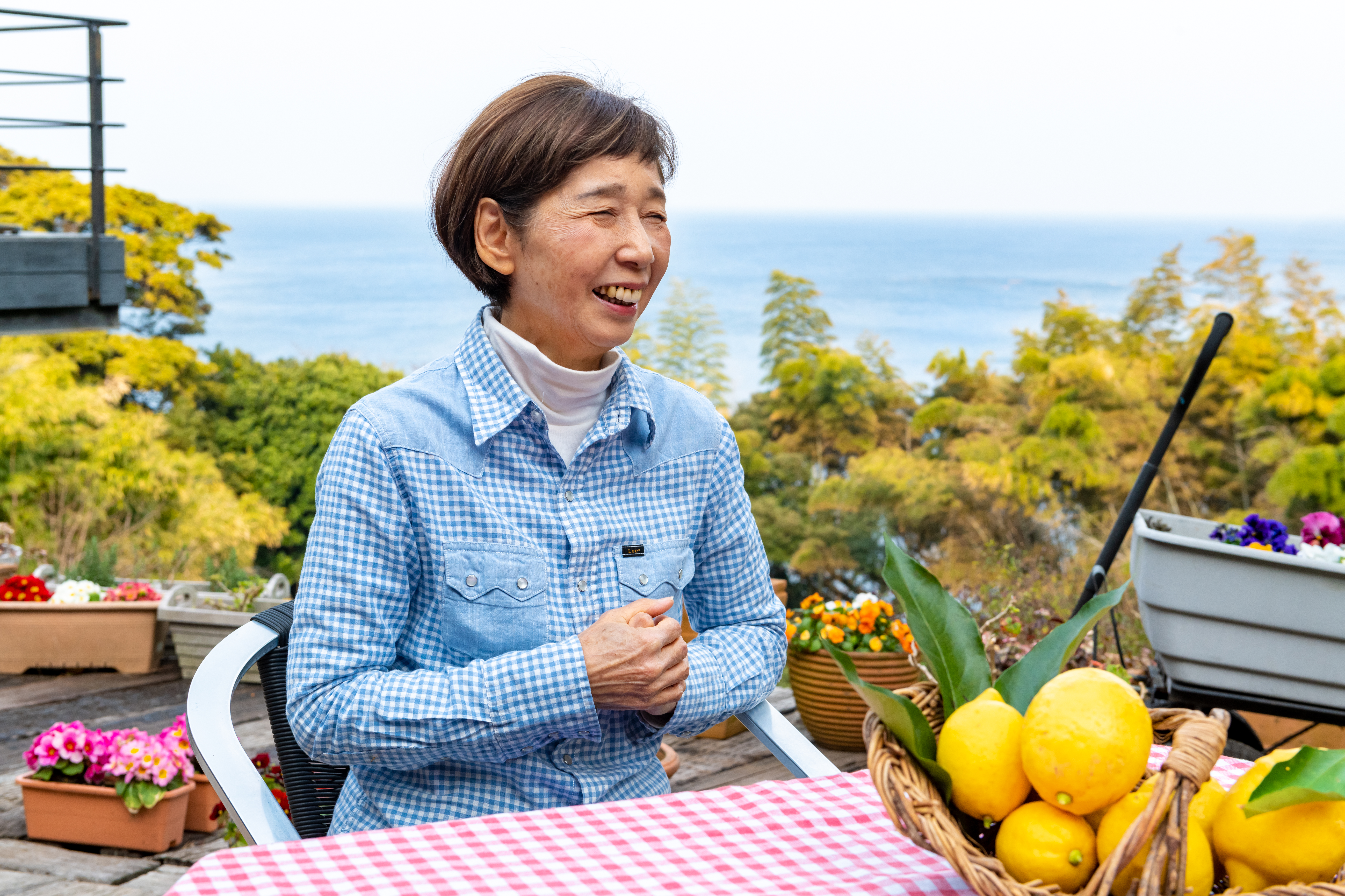 海風と半島が育むレモン　佐宗喜久子さんが守りたい「真鶴の景観」