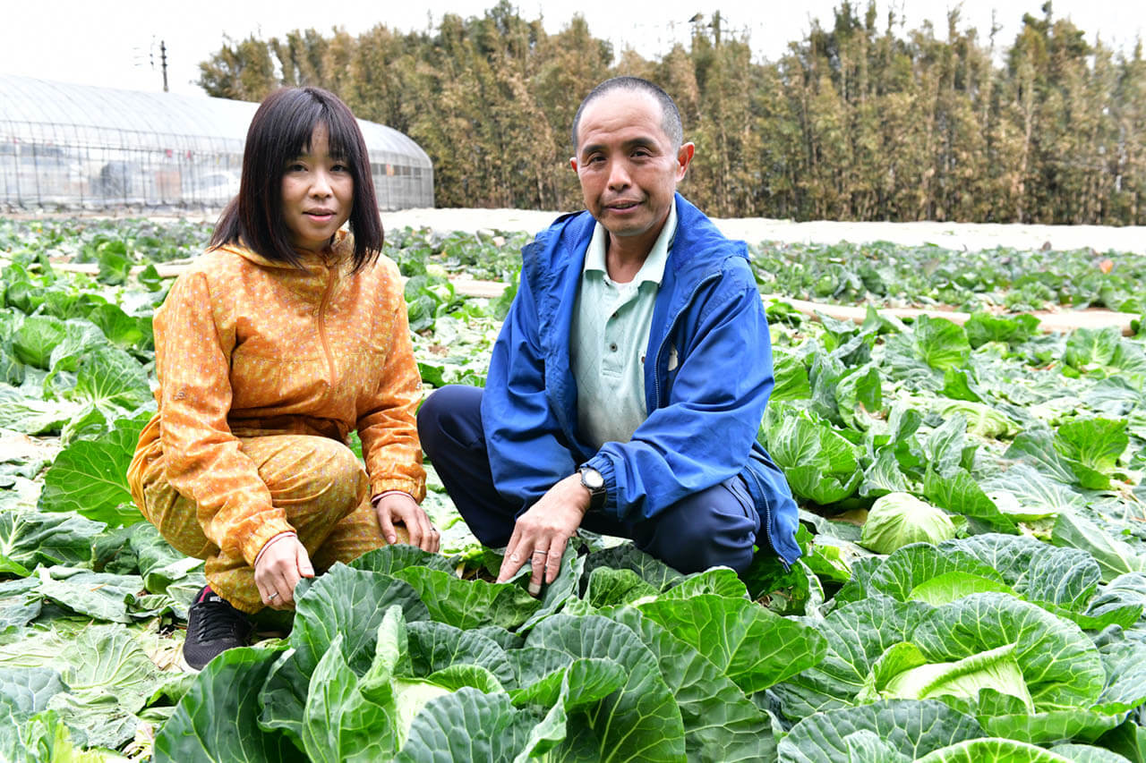 三浦で1000年以上続く「くろぜむ農園」