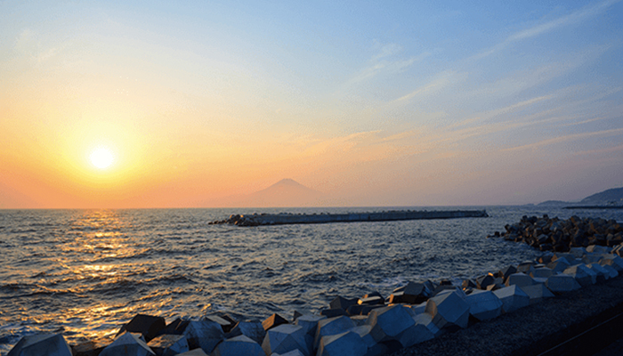 Shonan Sunny Side Marina
