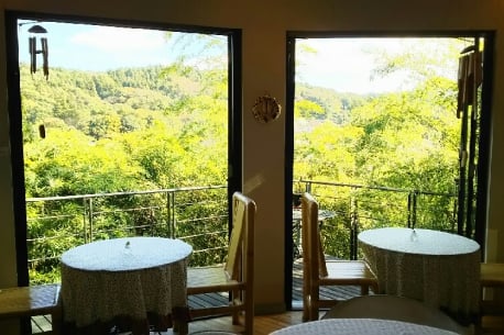 Kita Kamakura Gallery & CAFE NEST