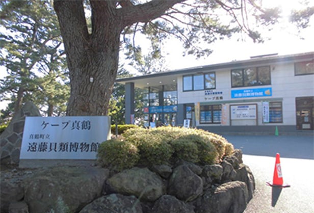 Secret of the grace of Manazuru sea lies in the forest!4