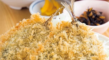 Ryoushi Meshi Shokudou