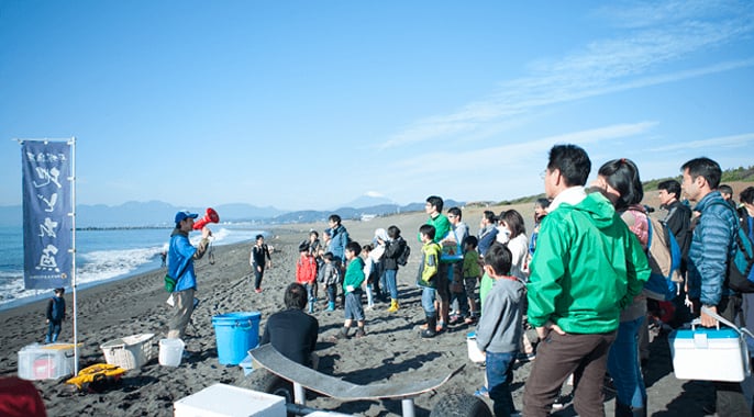 Gorobikiami experience (Hiratsuka fishing port)