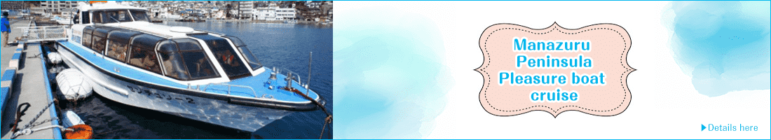Manazuru Peninsula Pleasure Boat Cruise pc