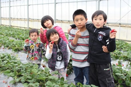 Tsukuihama Tourist Farm