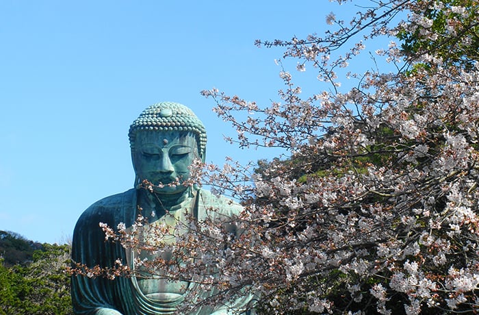 Kōtoku-in temple (Kamakura Great Buddha)