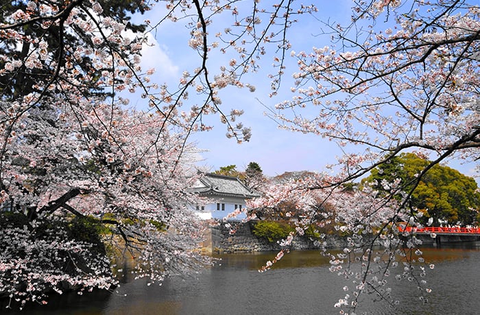 Odawara Castle Park