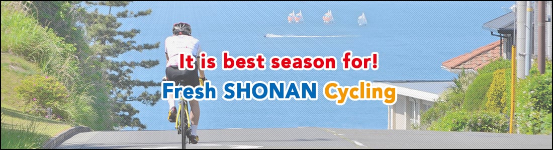 It is the best season! Fresh SHONAN Cycling