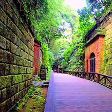 Sarushima Island (Monkey Island)1