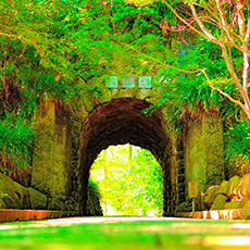 Sarushima Island (Monkey Island)2