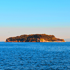 Sarushima Island (Monkey Island)3