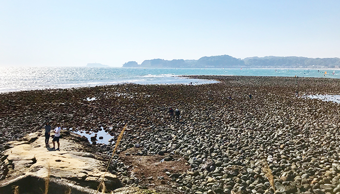 Playing on the seashores in Wakae island on afternoon1