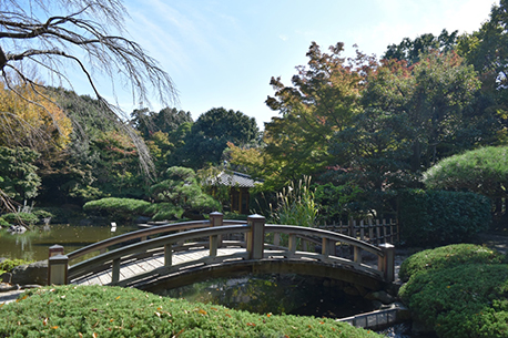 Hiratsuka City Multipurpose Park