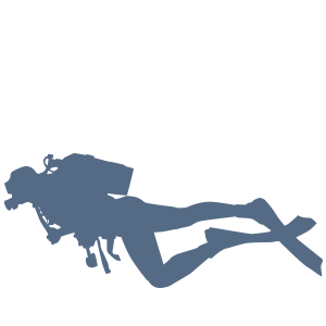 Barrier-Free Diving Festival