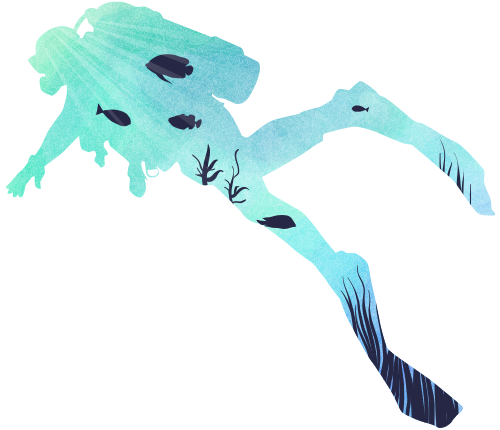 バリアフリーダイビングフェスティバル