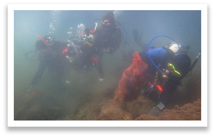 バリアフリーダイビングフェスティバル