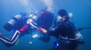 Enoura Fishing Harbor, Barrier-Free Diving Event
