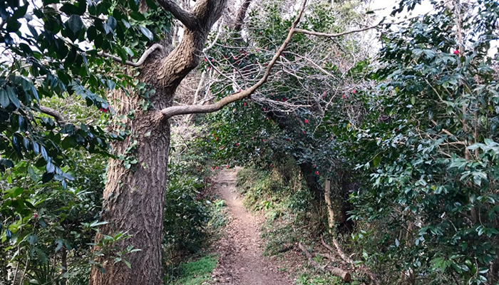 Hiking in the Gion Mountains06