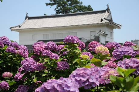 Odawara Castle