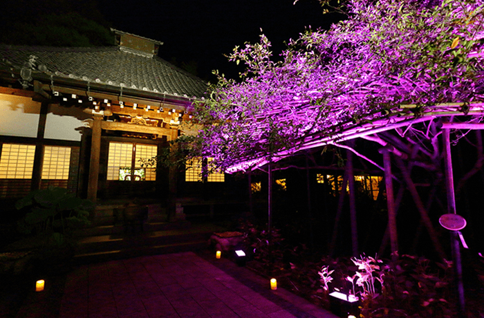 Lights of Kamakura Hase valley