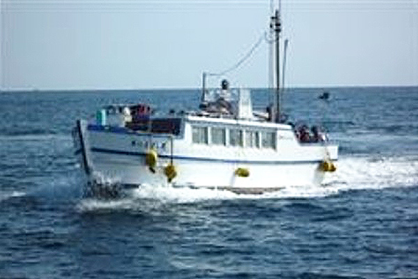 Eboshi Rock Cruise Ship