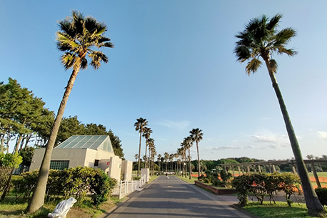 Tsujido Seaside Park