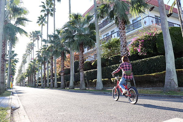 Riviera Zushi Marina1