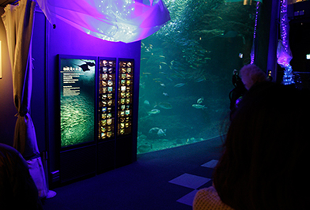 新江ノ島水族館の水槽