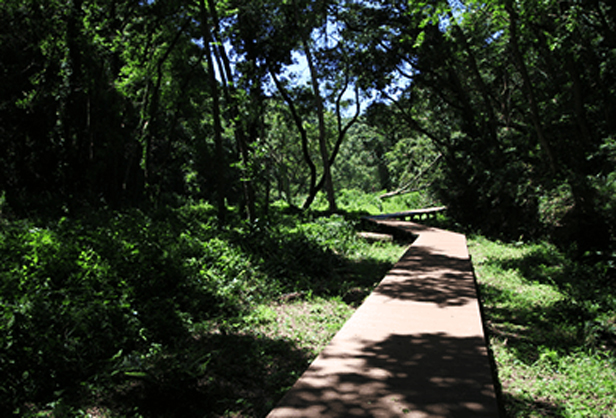 三浦半島〜自然満喫ファミリーコース