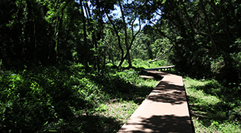 vol.2 三浦半島〜自然満喫ファミリーコース
