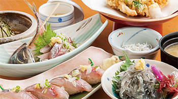 釜揚シラスと地魚　快飛　本店