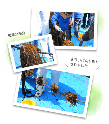 取りのコツを教われる子供