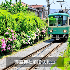 御霊神社踏切付近で見る江ノ電