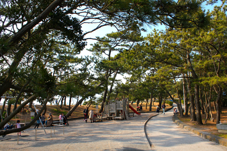 神奈川県立葉山公園