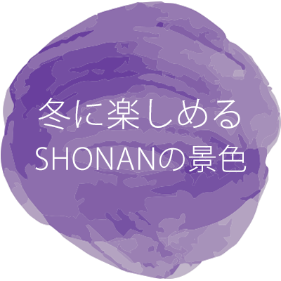 冬に楽しめるSHONANの景色へのボタン