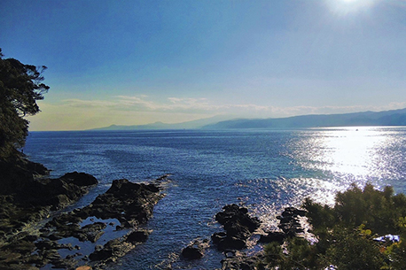 真鶴リゾート碧い海