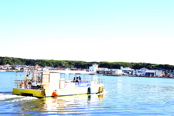 にじいろさかな号1