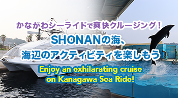 かながわシーライドで爽快クルージング!