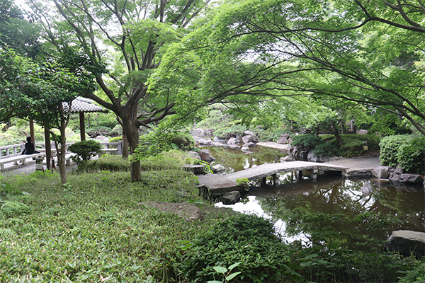 県立大磯城山公園のイメージ1