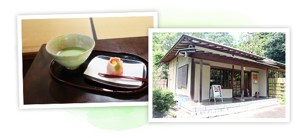 県立大磯城山公園のイメージ3